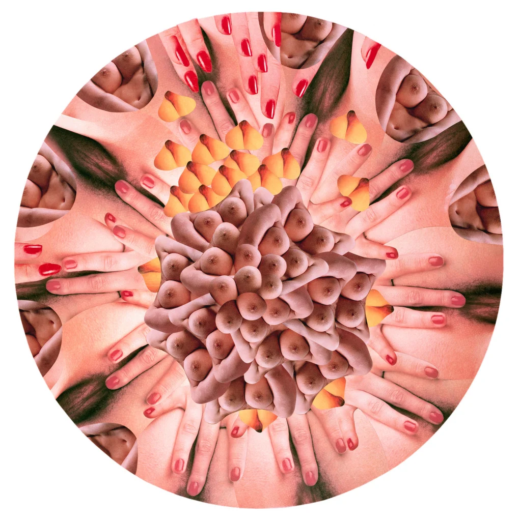 Collen Fleurotica collage: "Nucleus"