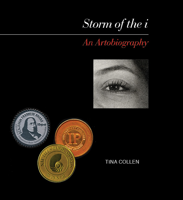 Storm of the i, book cover